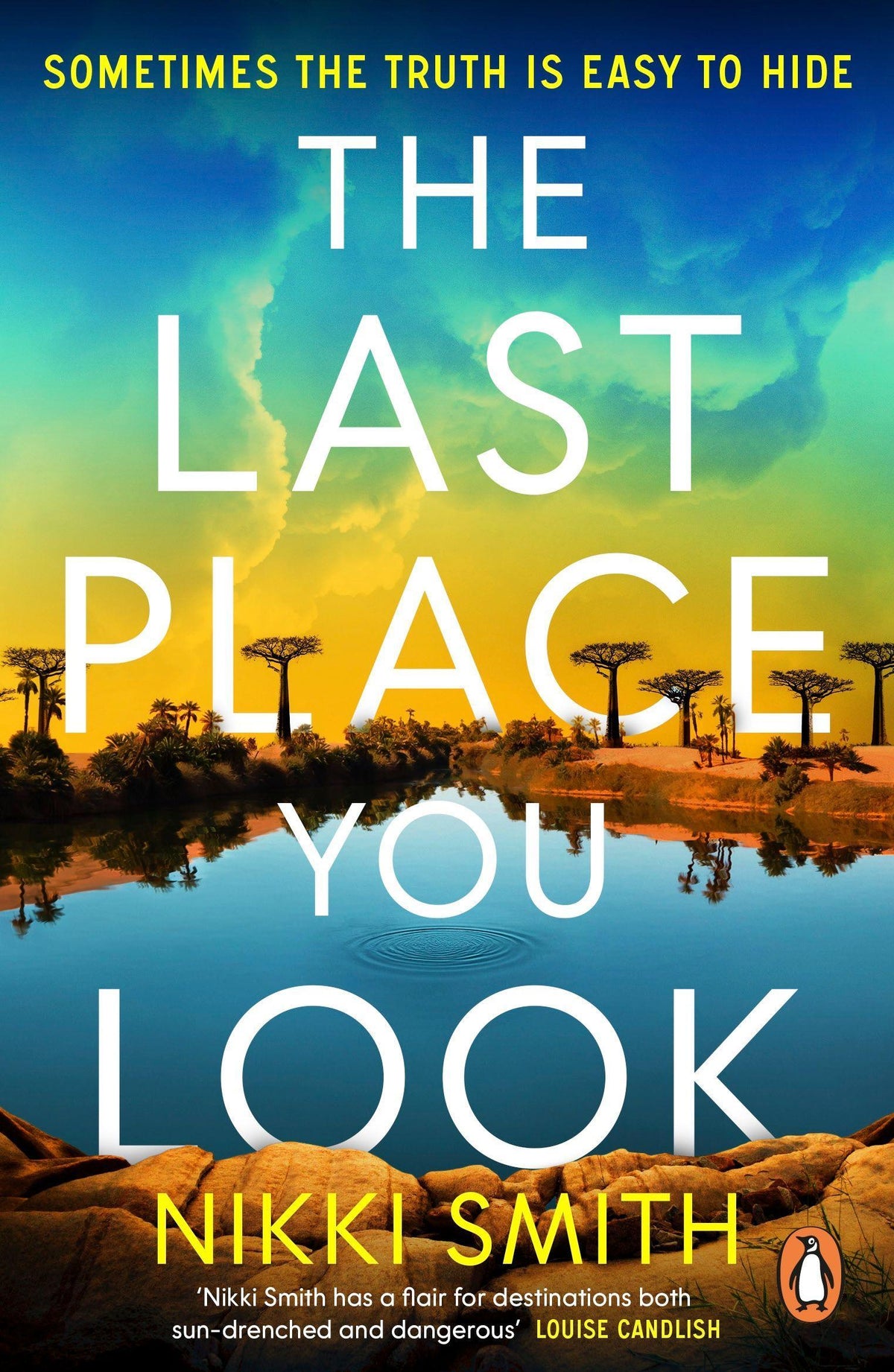 Buchcover: The Last Place You Look