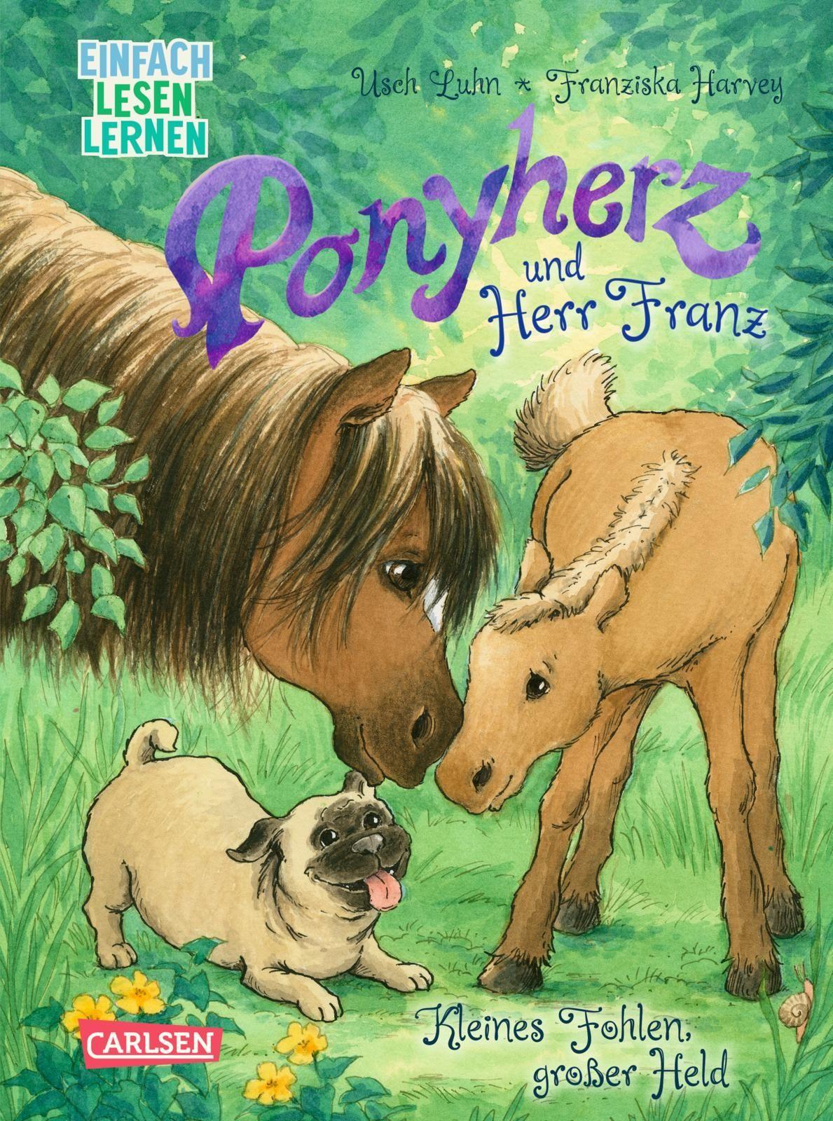 Luhn, Usch/Ponyherz und Herr Franz: Kleines Fohlen, großer Held