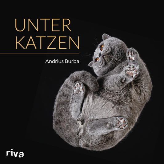Buchcover: Unter Katzen