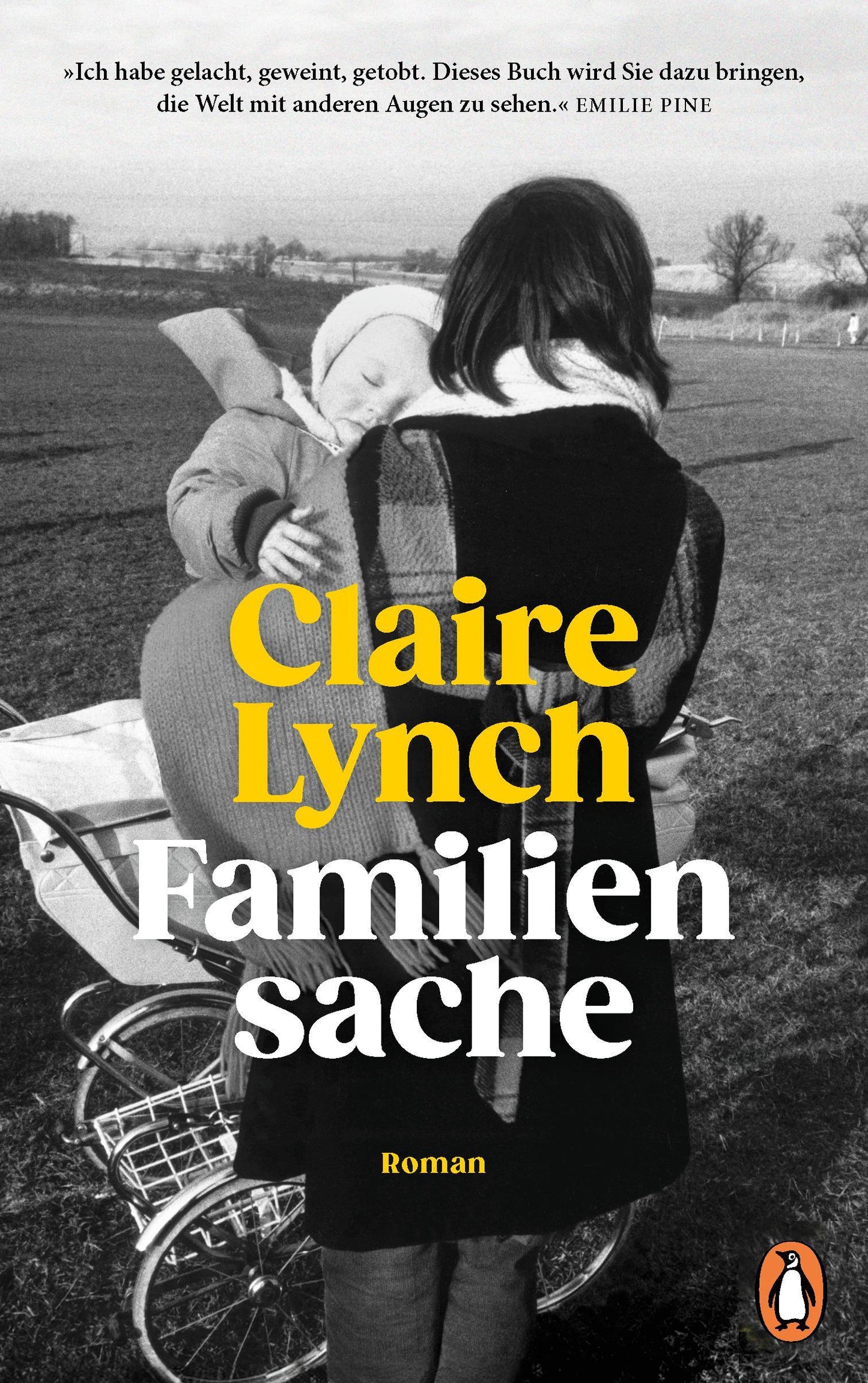 Familiensache: Roman. - »Ich habe diesen zarten, herzzerreißenden Roman in einem Tag verschlungen und werde für immer an ihn denken müssen.« Barbara Kingsolver