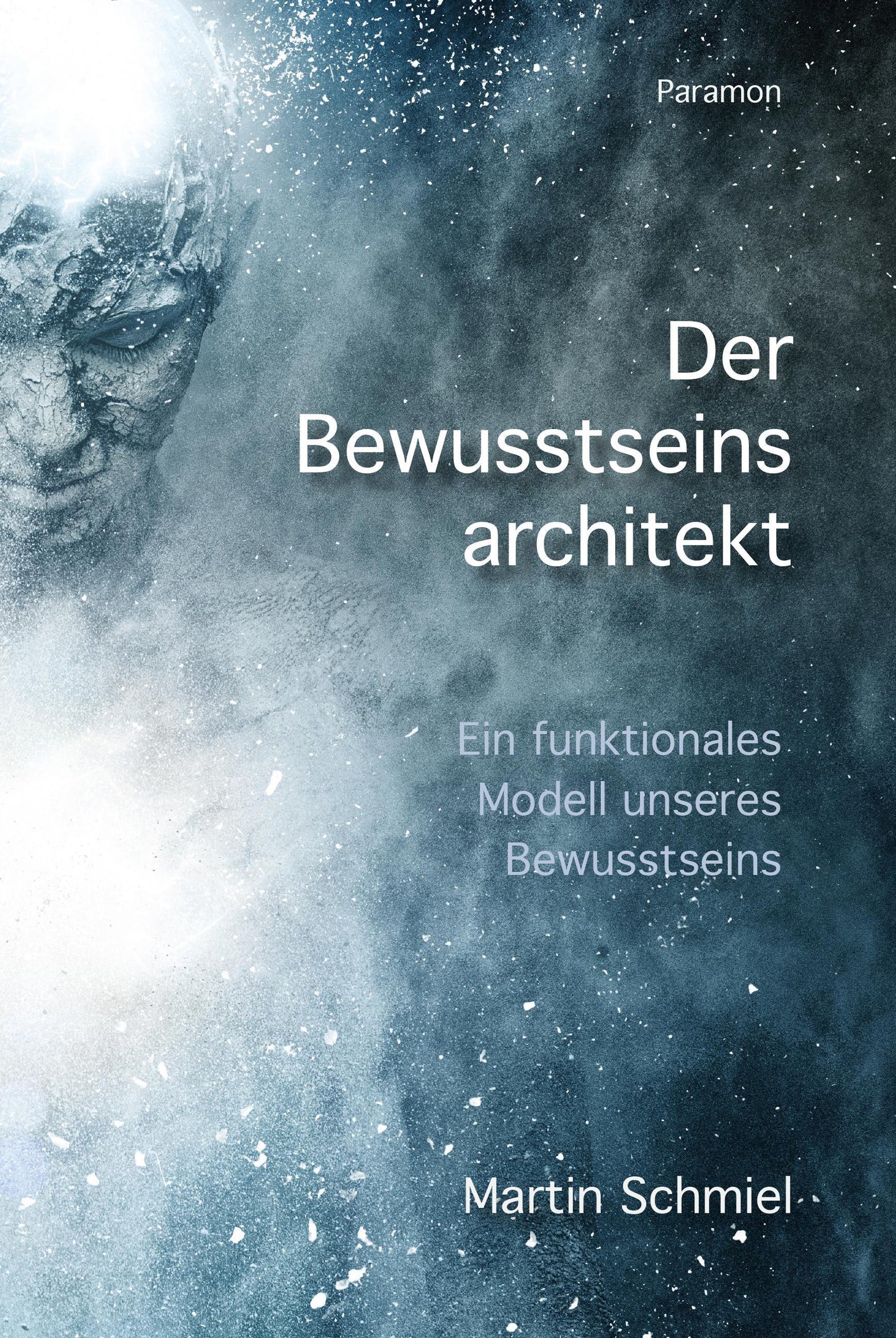 Buchcover: Der Bewusstseinsarchitekt