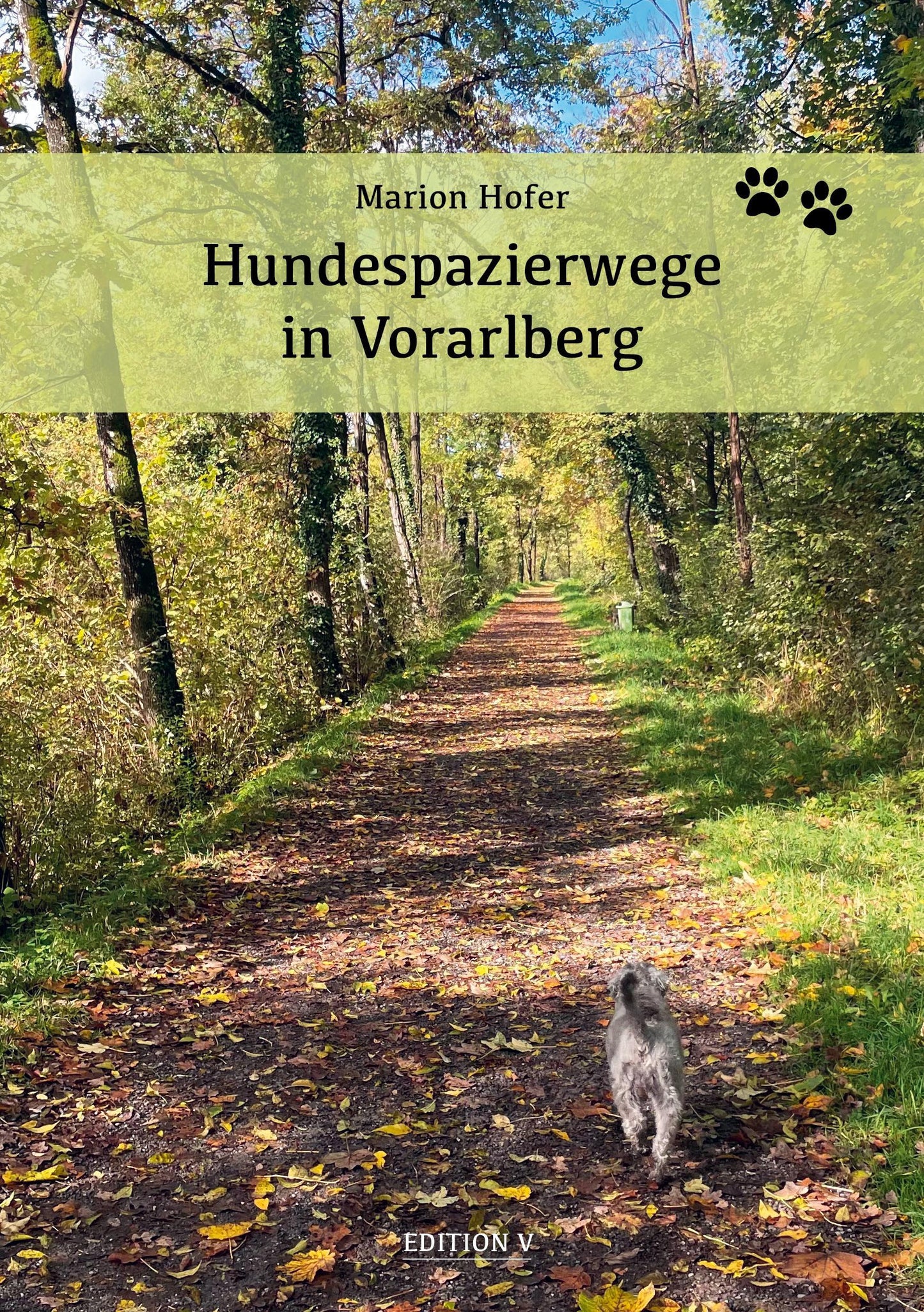 Hundespazierwege in Vorarlberg