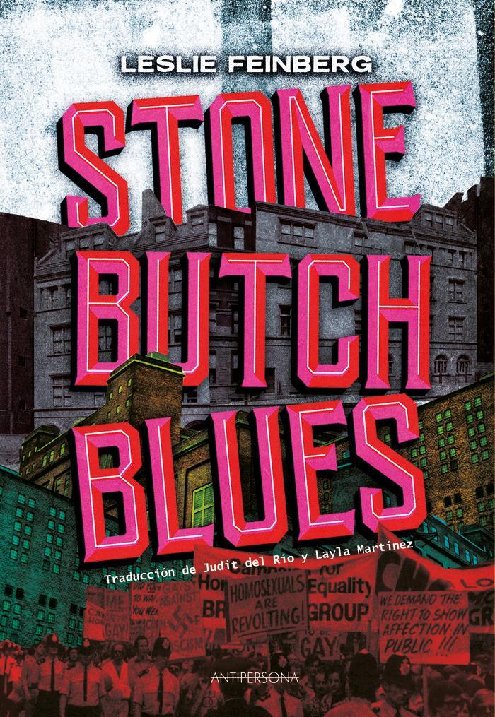 Buchcover: Stone butch blues