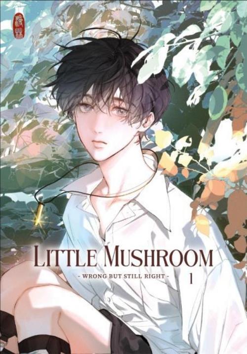 Little Mushroom - wrong but still right 1