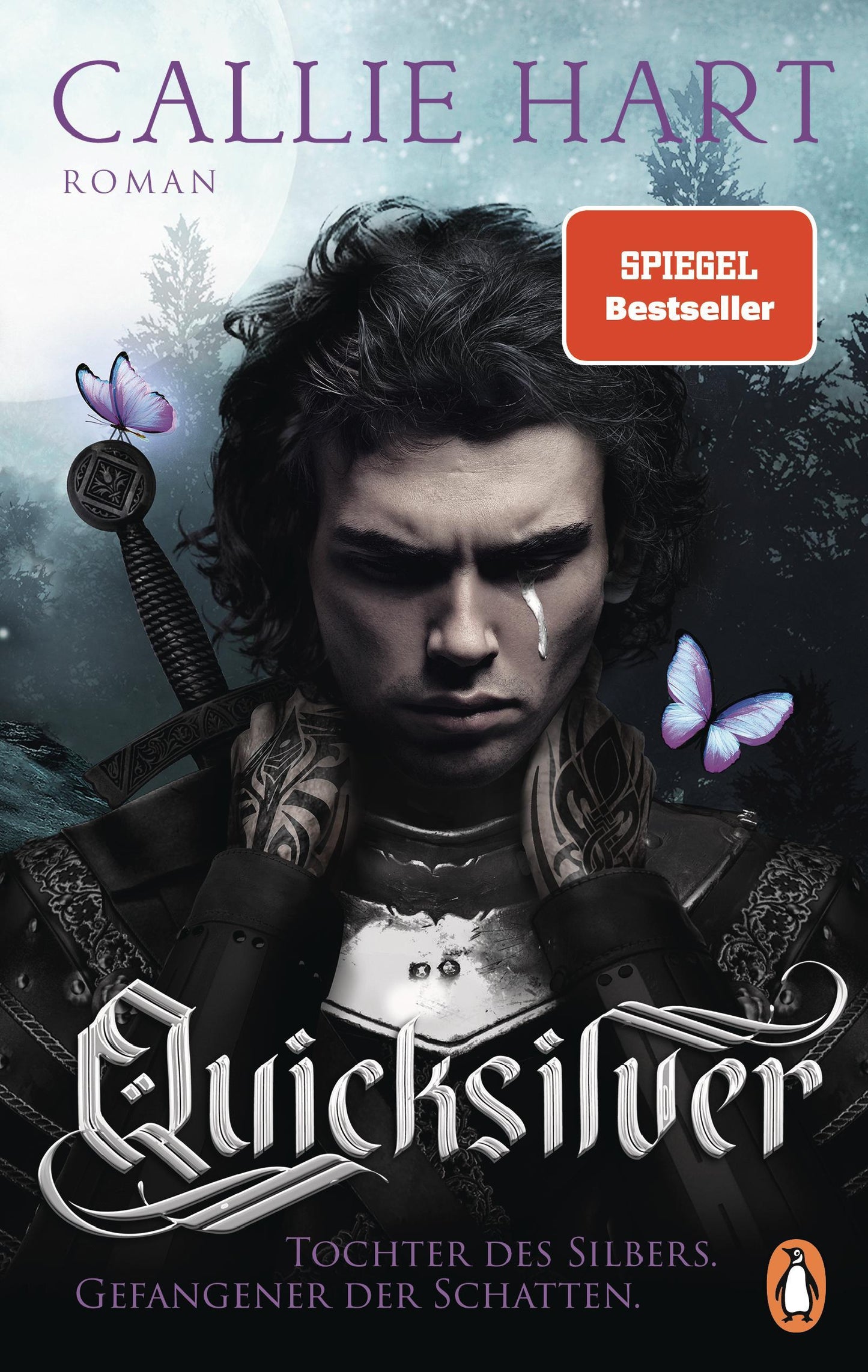 Quicksilver - Tochter des Silbers. Gefangener der Schatten: Roman. Dark and spicy Enemies-to-Lovers Romantasy in luxuriös veredelter Hardcover-Ausgabe mit Farbschnitt! (Fae & Alchemy-Reihe, Band 1)