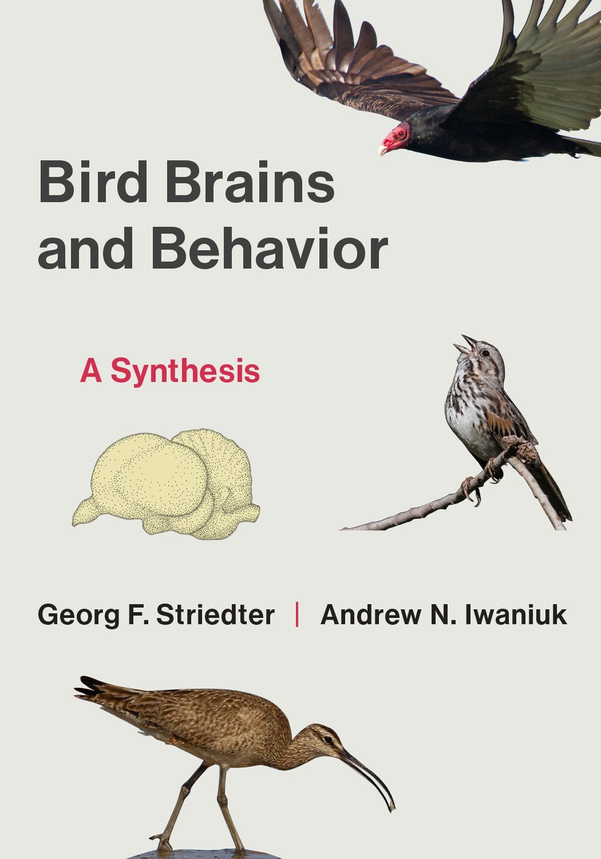 Buchcover: Bird Brains and Behavior