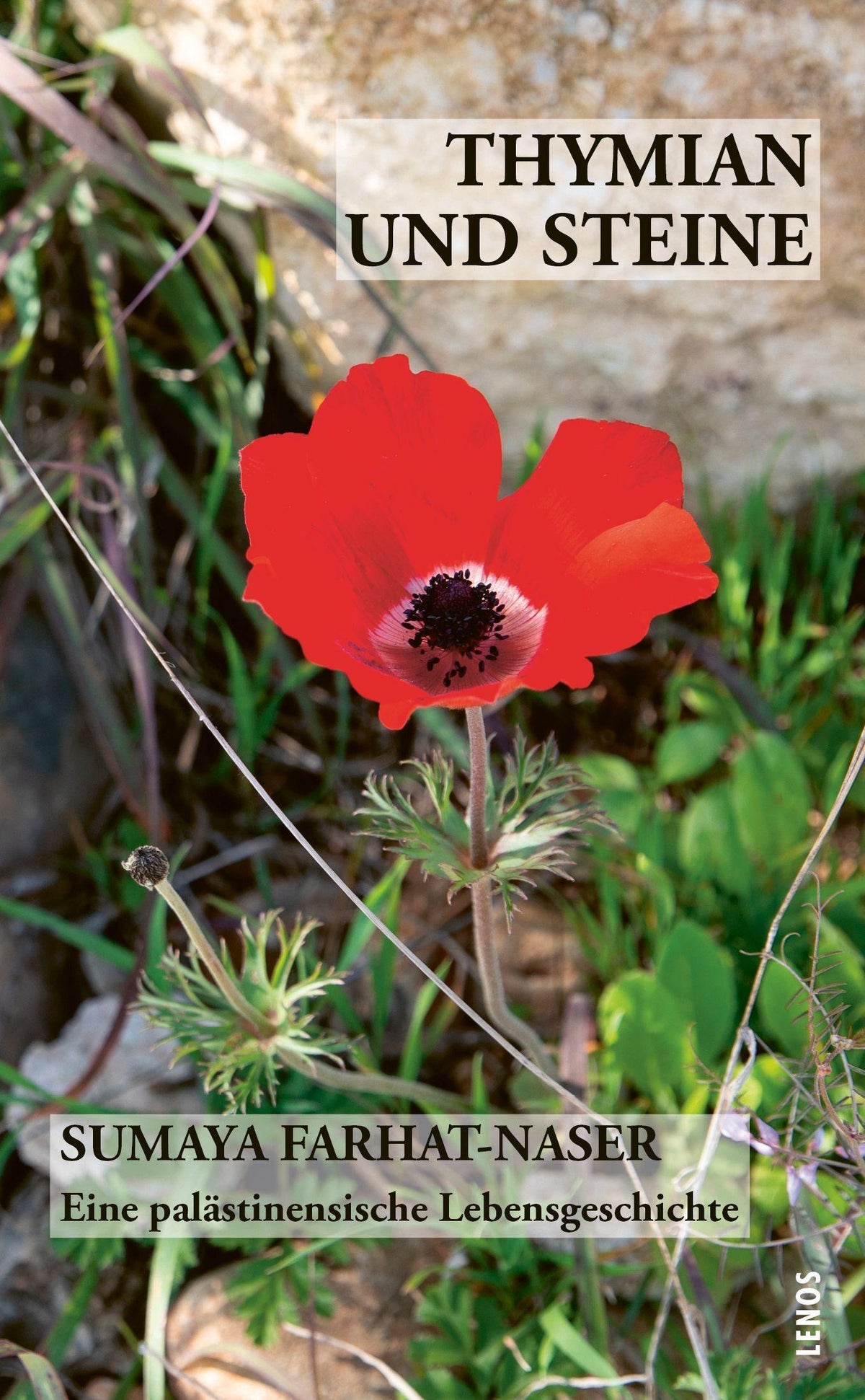 Buchcover: Thymian und Steine