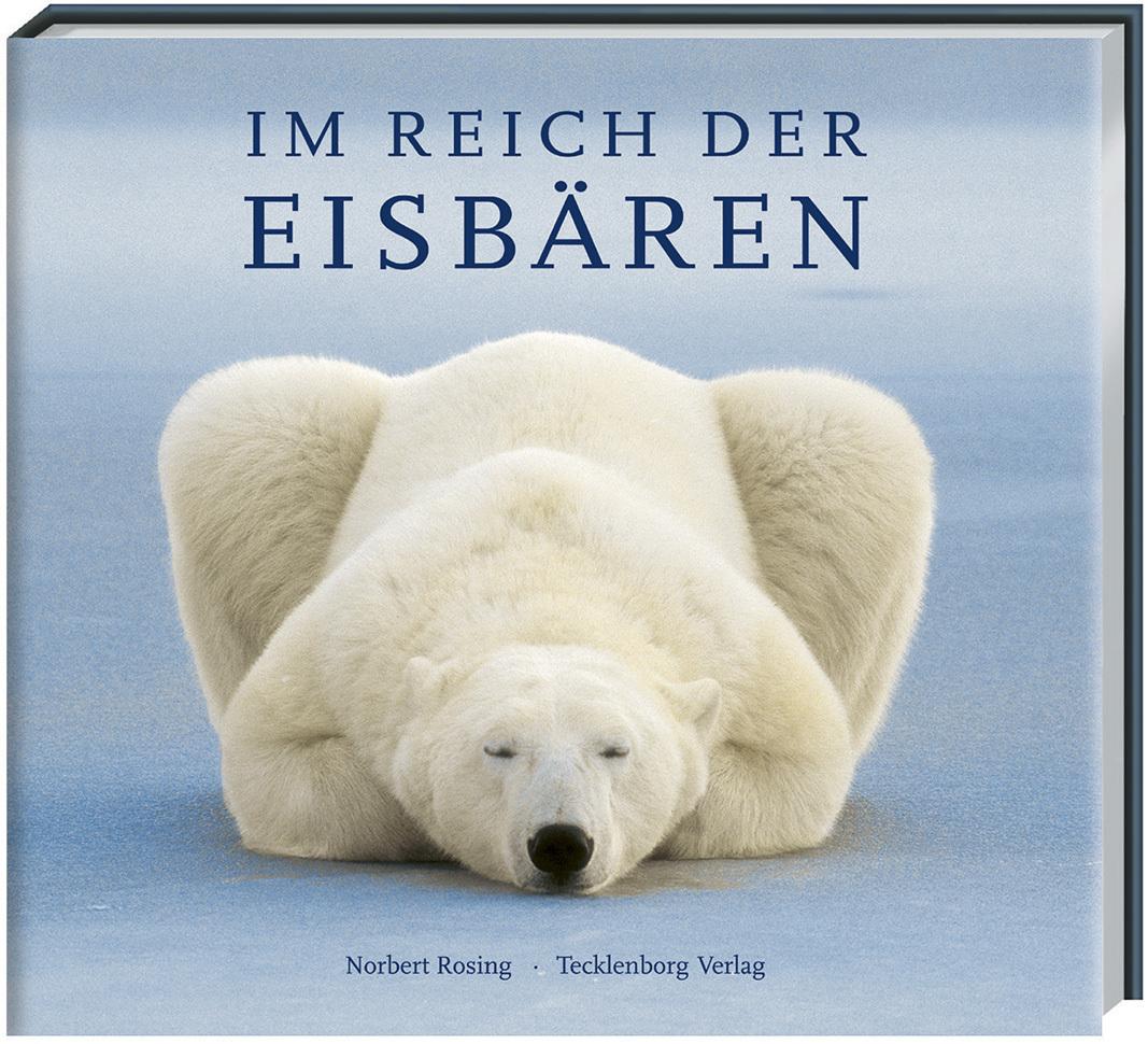Eisbären