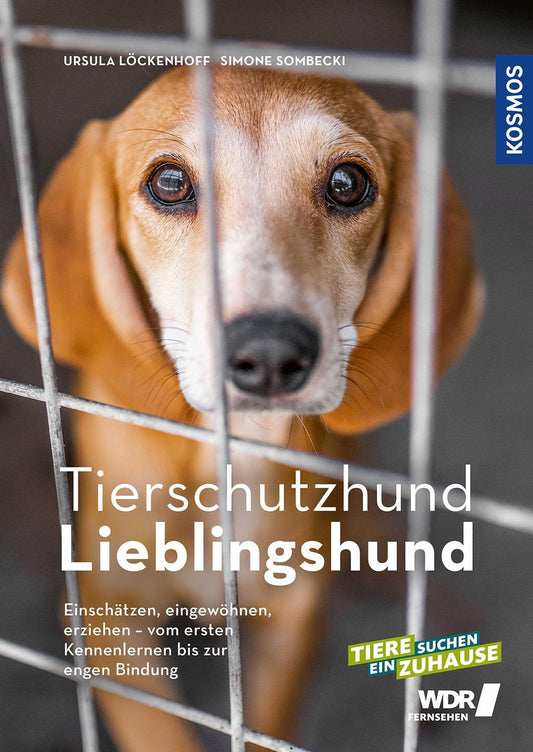 Tierschutzhund Lieblingshund: Einschätzen, eingewöhnen, erziehen - vom ersten Kennenlernen bis zur engen Bindung
