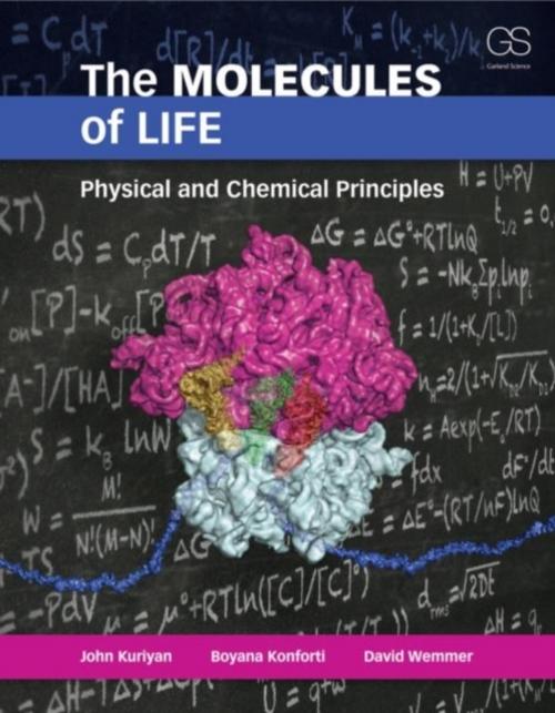 Buchcover: The Molecules of Life