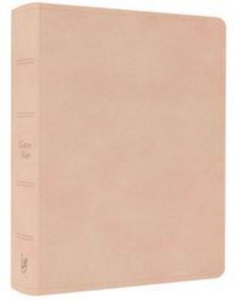 Schlachter LIEBEZURBIBEL Beige