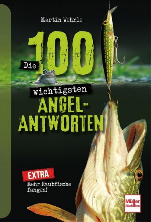 Buchcover: Die 100 wichtigsten Angel-Antworten