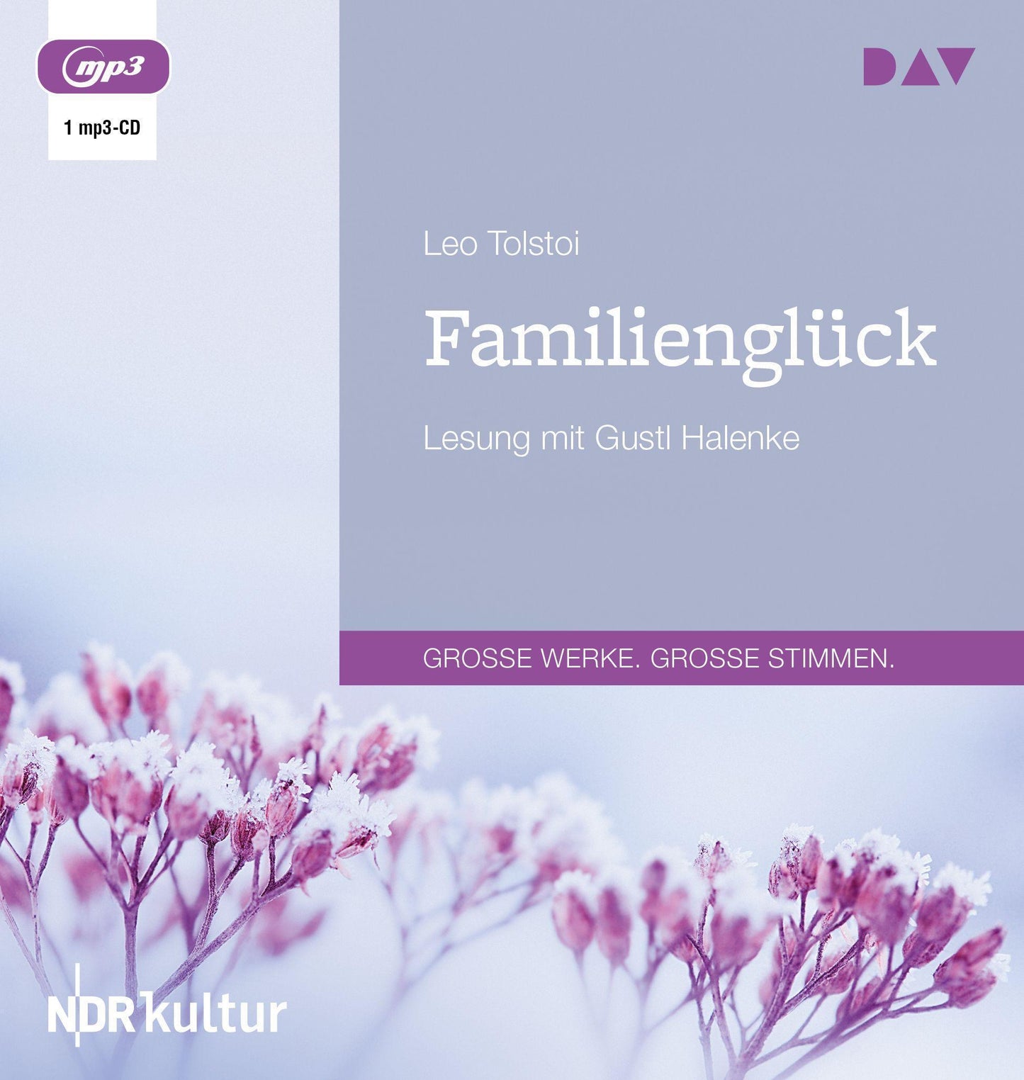 Familienglück,1 Audio-CD, 1 MP3