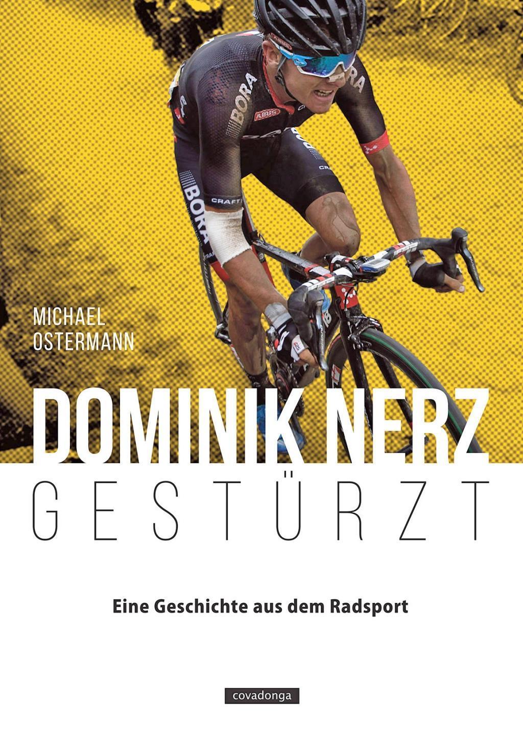 Buchcover: Dominik Nerz - Gestürzt