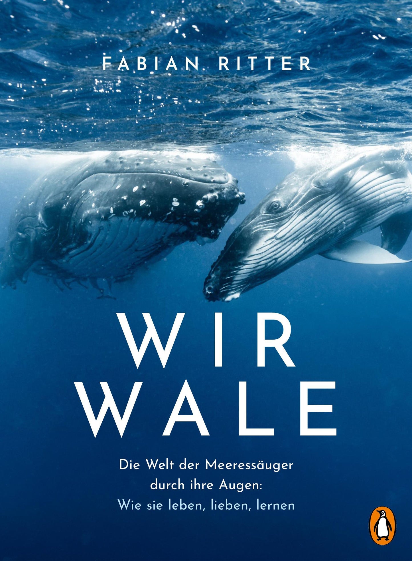Wir Wale: Die Welt der Meeressäuger durch ihre Augen: Wie sie leben, lieben, lernen - Mit zahlreichen Abbildungen des Autors