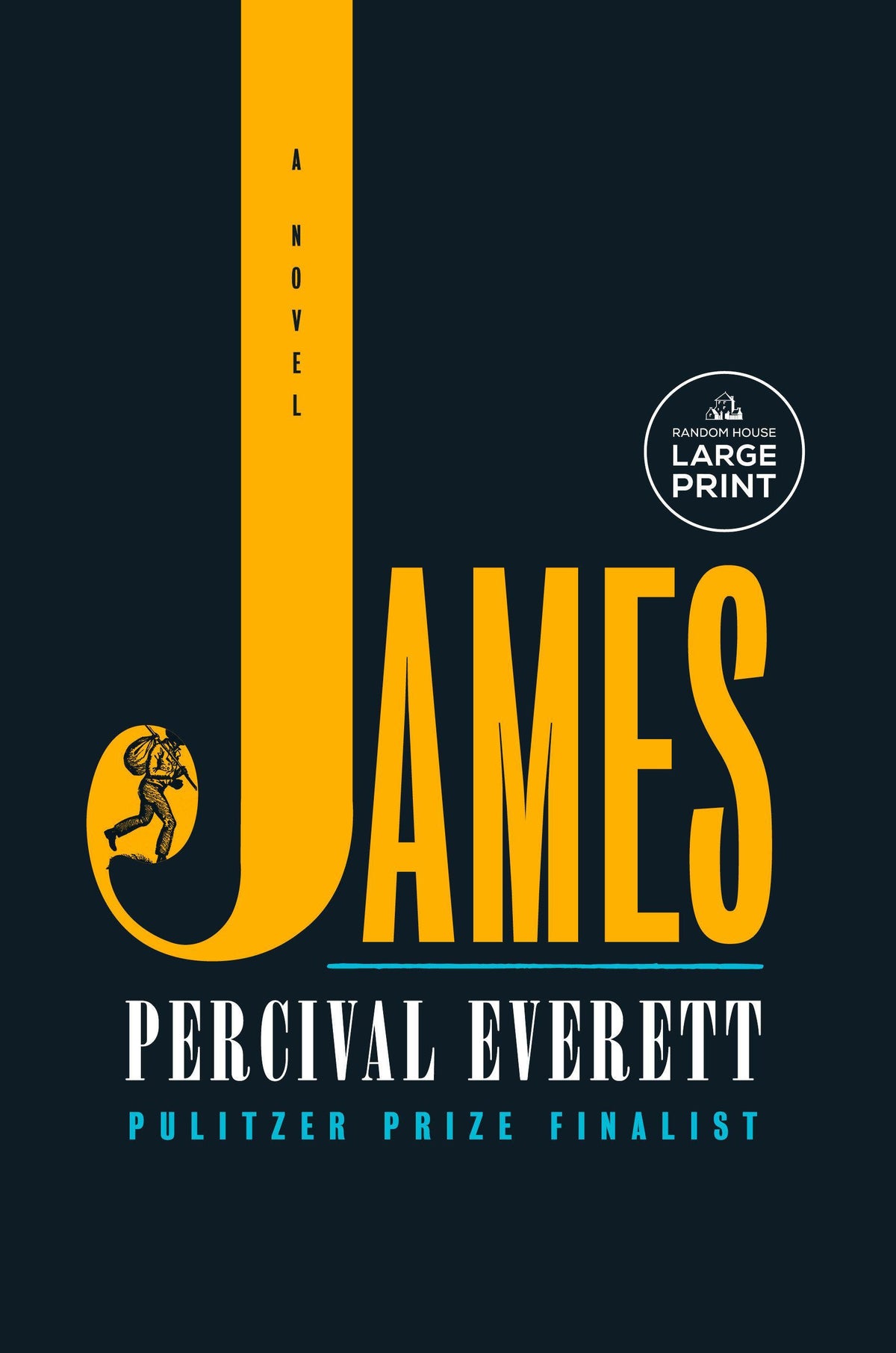 Buchcover: James