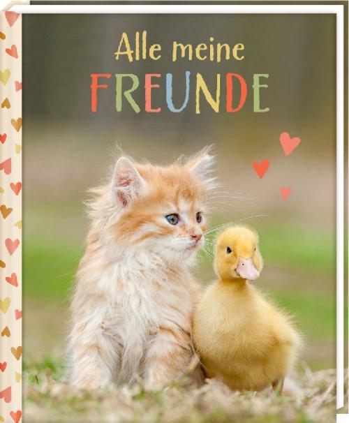 Freundebuch - Alle meine Freunde