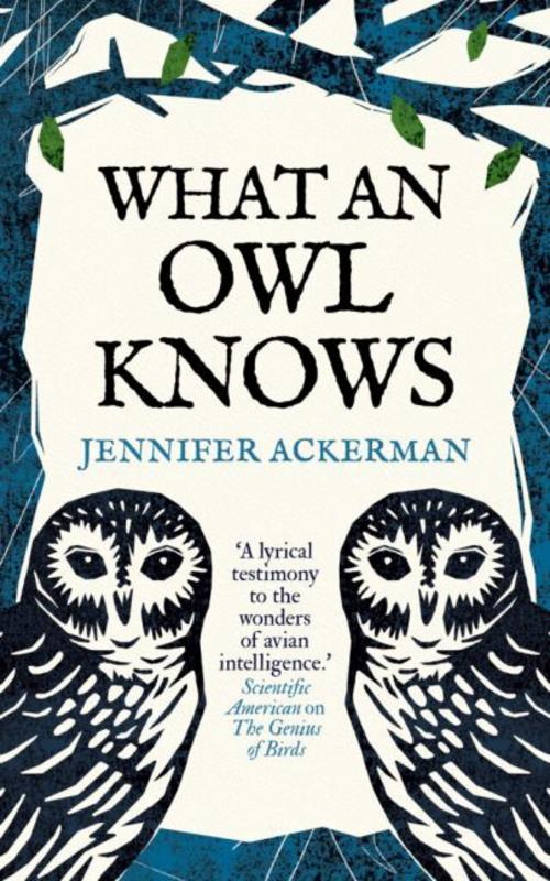 Buchcover: What an Owl Knows