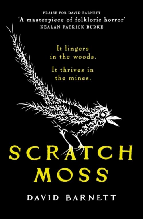Buchcover: Scratch Moss