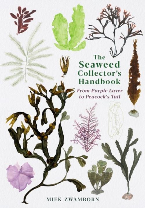 Buchcover: The Seaweed Collector's Handbook