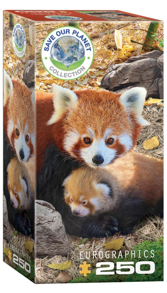 Buchcover: Rote Pandas (Puzzle)
