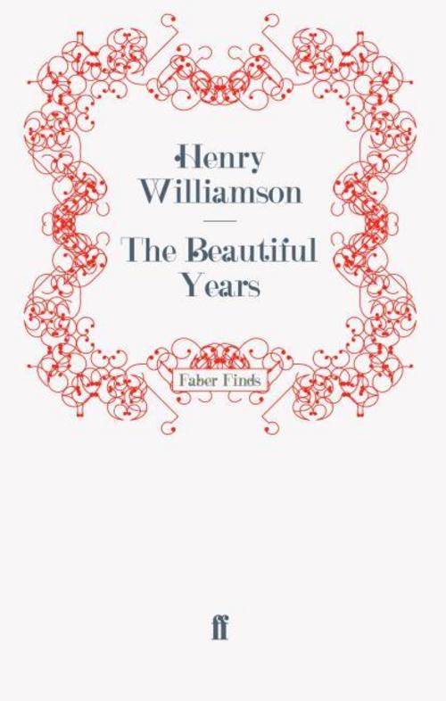 Buchcover: The Beautiful Years
