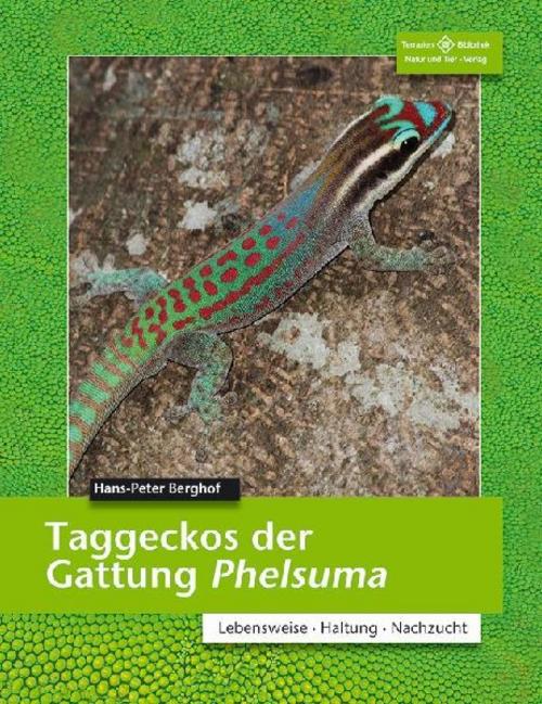 Taggeckos der Gattung Phelsuma
