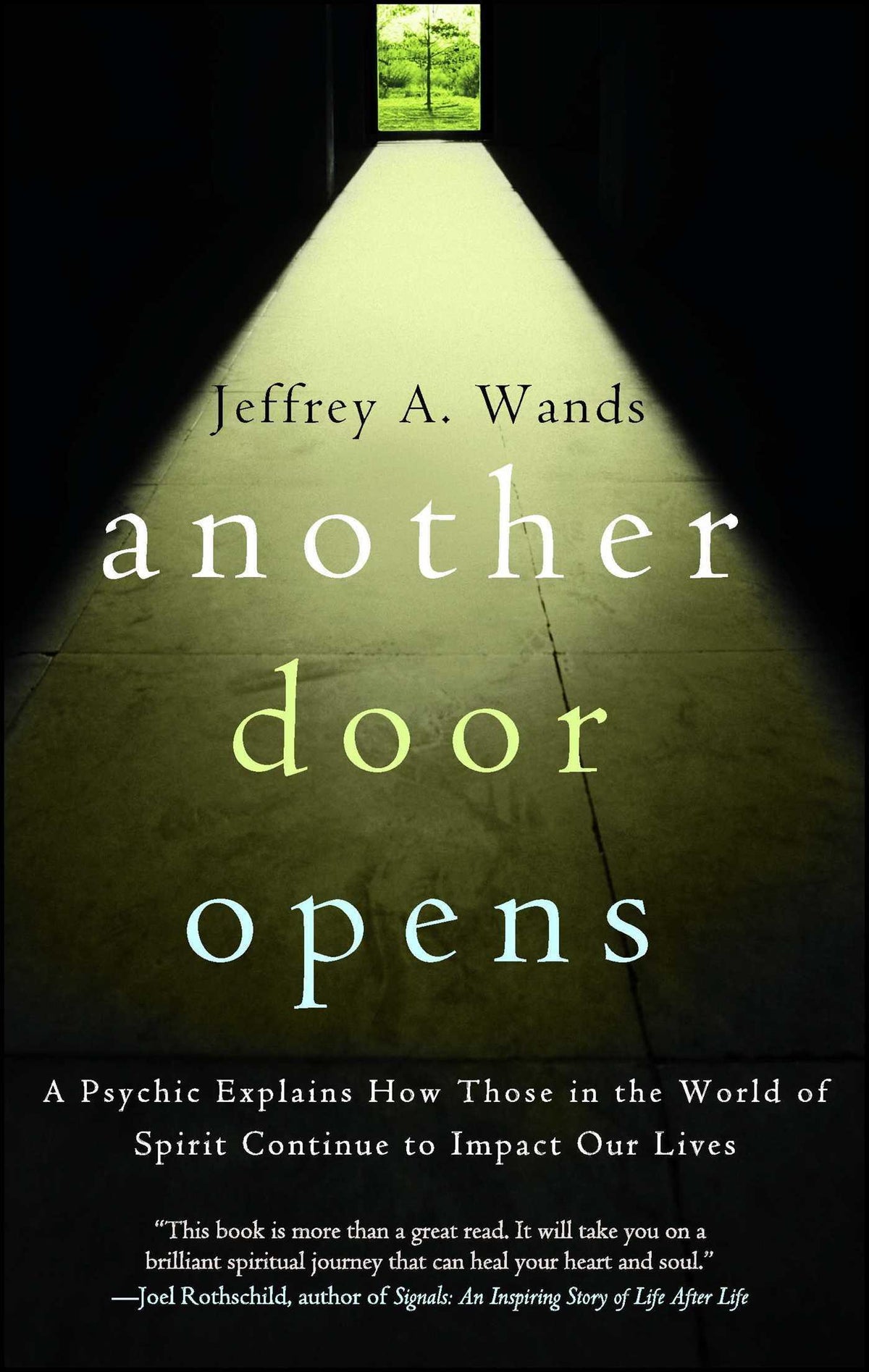 Buchcover: Another Door Opens