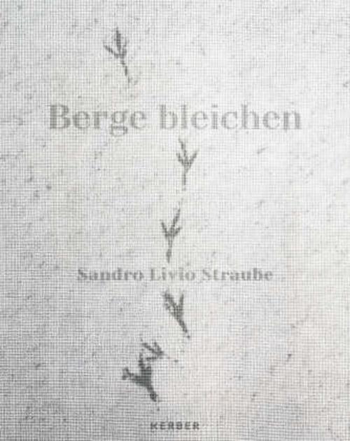 Sandro Livio Straube