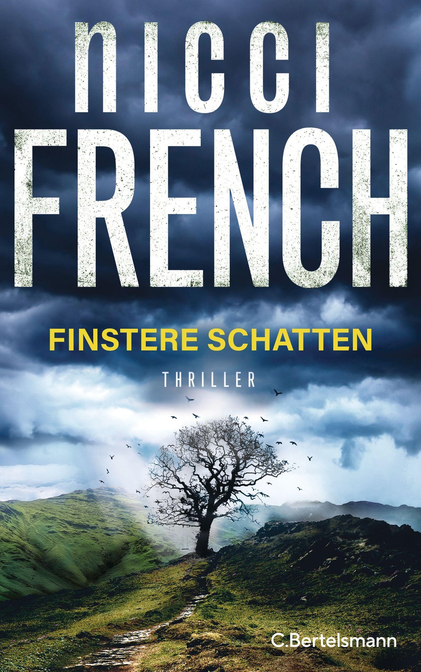 Finstere Schatten