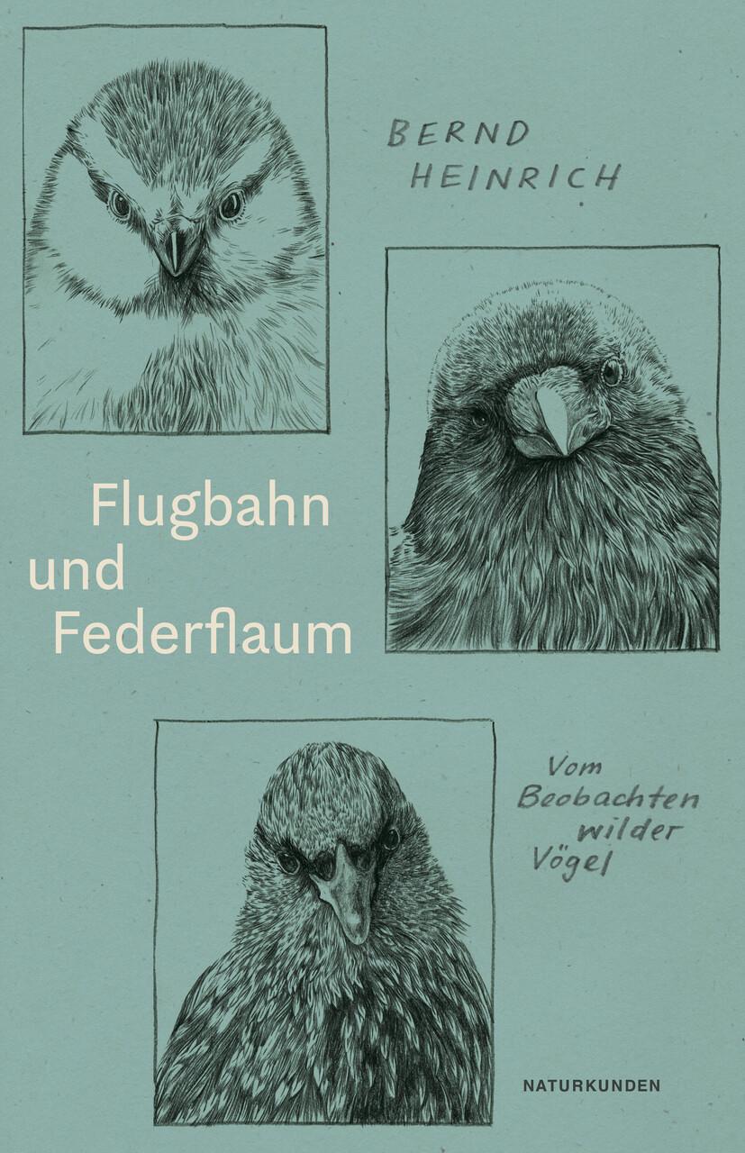 Buchcover: Flugbahn und Federflaum