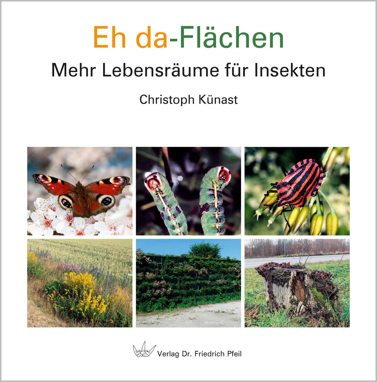 Buchcover: Eh da-Flächen