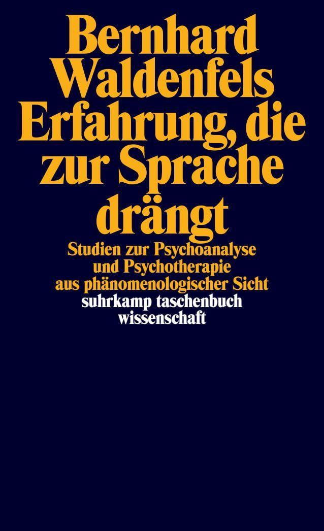Buchcover: Erfahrung, die zur Sprache drängt