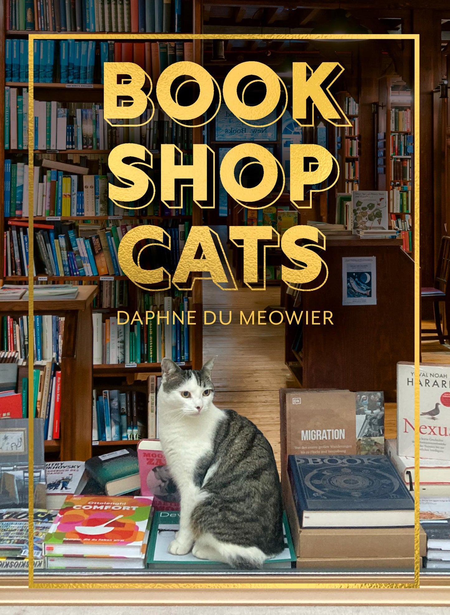 Buchcover: BOOKSHOP CATS HB