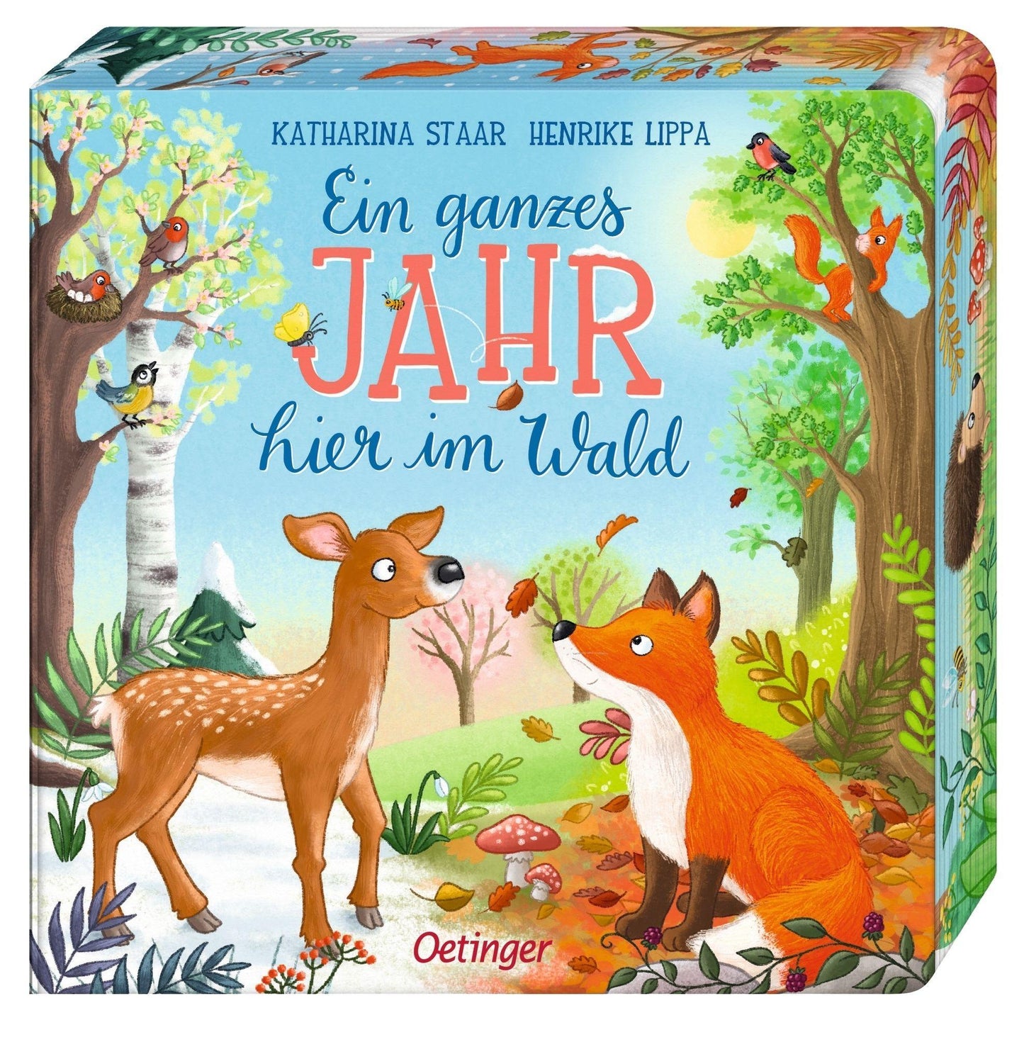 Ein ganzes Jahr hier im Wald