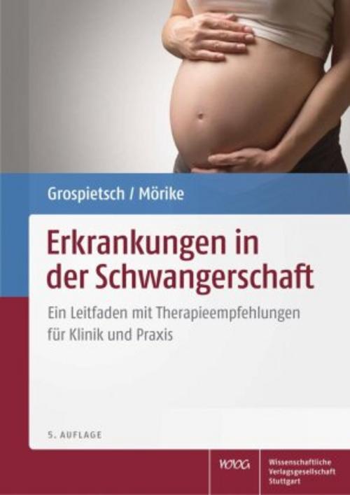Buchcover: Erkrankungen in der Schwangerschaft