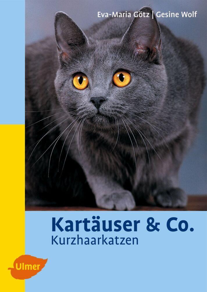 Buchcover: Kartäuser & Co.