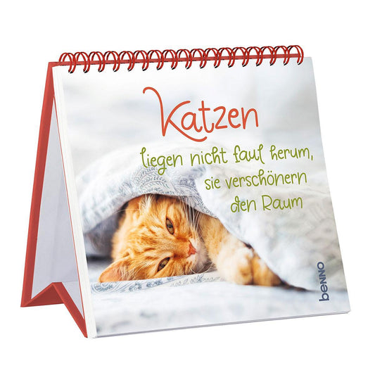 Katzen liegen nicht faul herum, sie verschönern den Raum