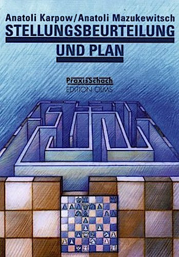 Stellungsbeurteilung und Plan
