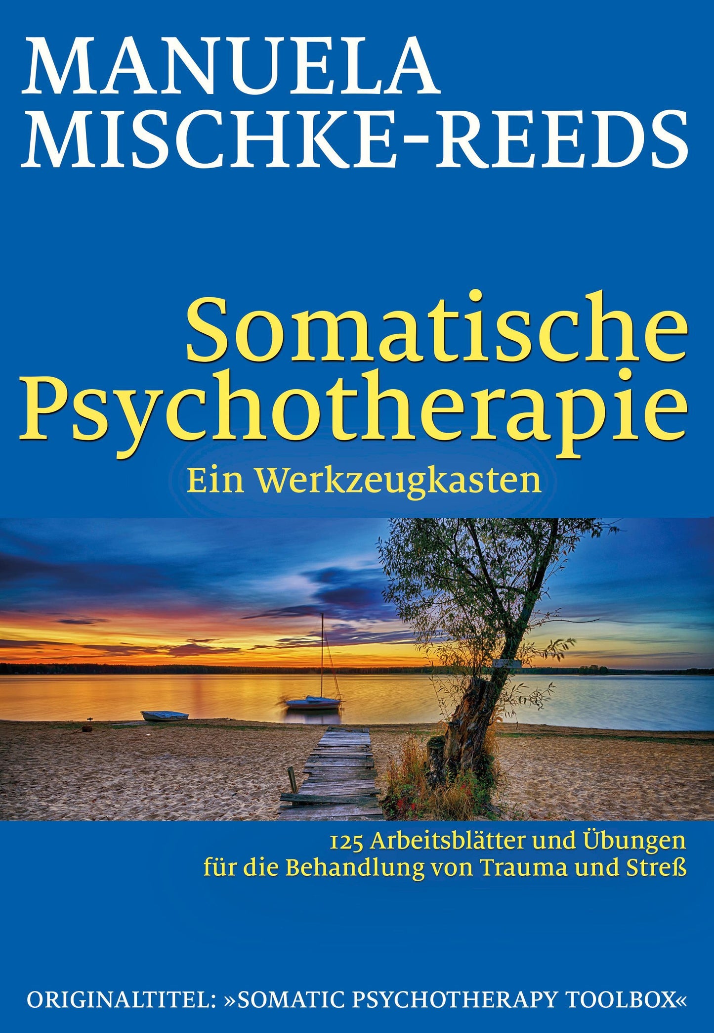 Somatische Psychotherapie - ein Werkzeugkasten