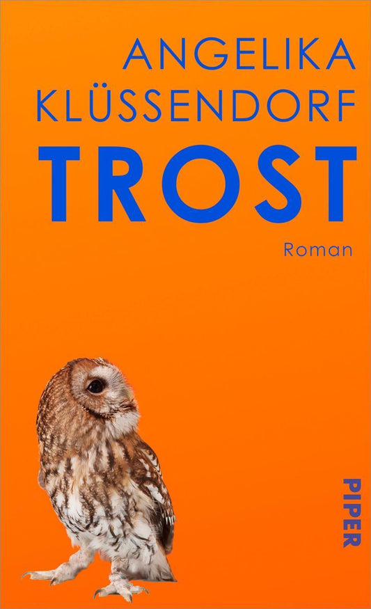 Trost: Roman | »Klüssendorfs Kunstfertigkeit ist bestechend.« NDR
