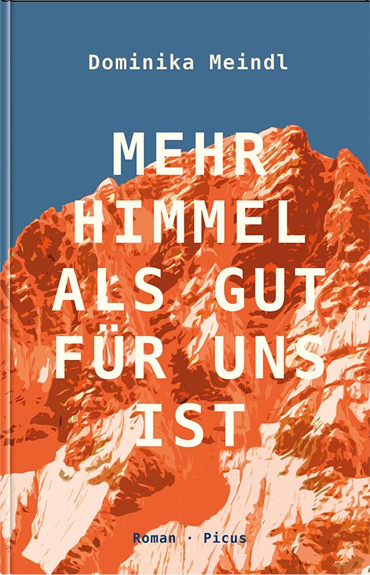 Mehr Himmel, als gut für uns ist: Roman