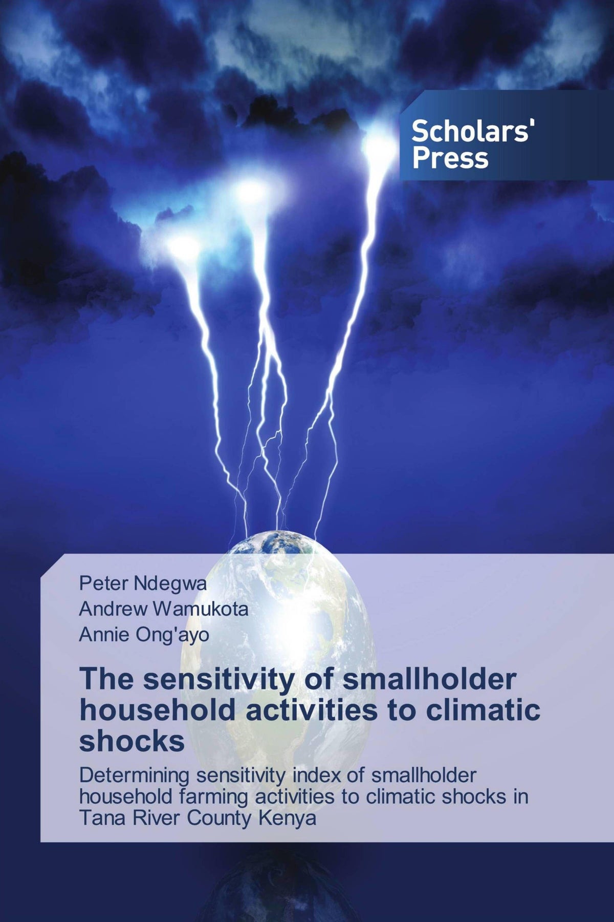 Buchcover: The sensitivity of smallholder household activities to climatic shocks