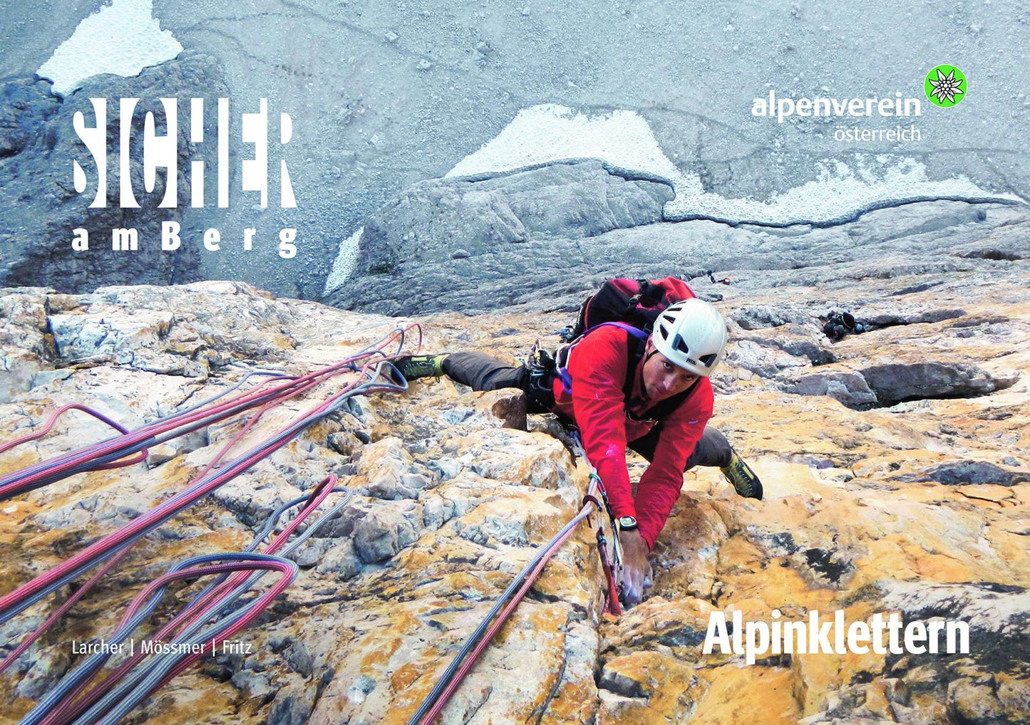 Buchcover: Sicher am Berg: Alpinklettern