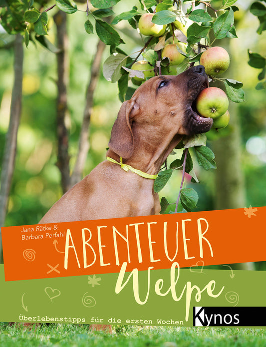 Abenteuer Welpe