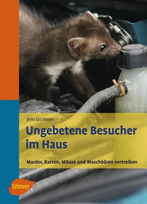 Buchcover: Ungebetene Besucher im Haus