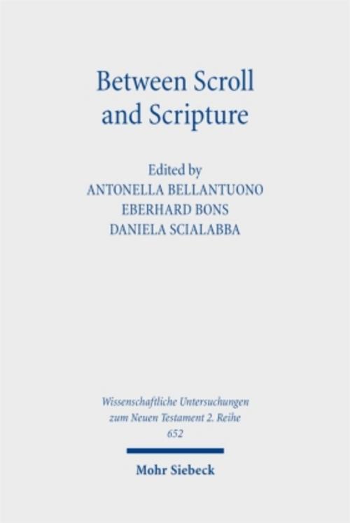 Between Scroll and Scripture