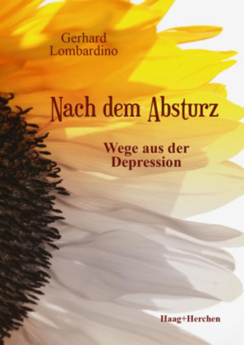Buchcover: Nach dem Absturz