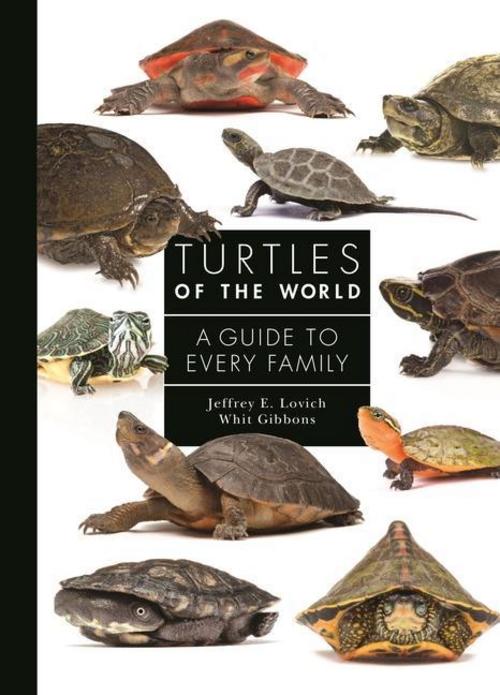 Buchcover: Turtles of the World