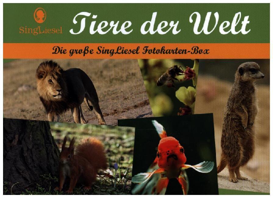 Tiere der Welt - Fotokarten für Senioren